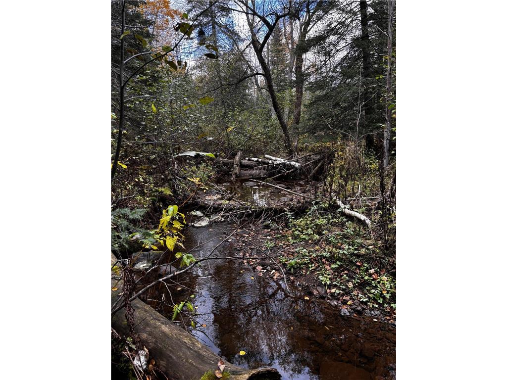 1774 Highway 2 Two Harbors MN 55616 - Stewart 7029559 image66