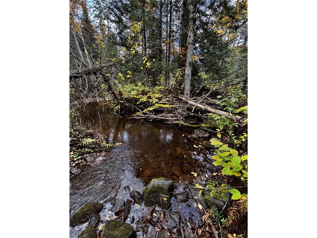 1774 Highway 2 Two Harbors MN 55616 - Stewart 7029559 image67