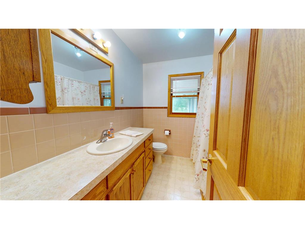 17743 750th Avenue Albert Lea MN 56007 7103657 image18
