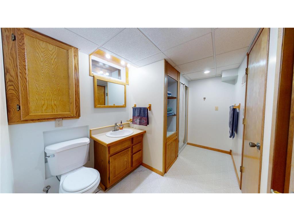17743 750th Avenue Albert Lea MN 56007 7103657 image23
