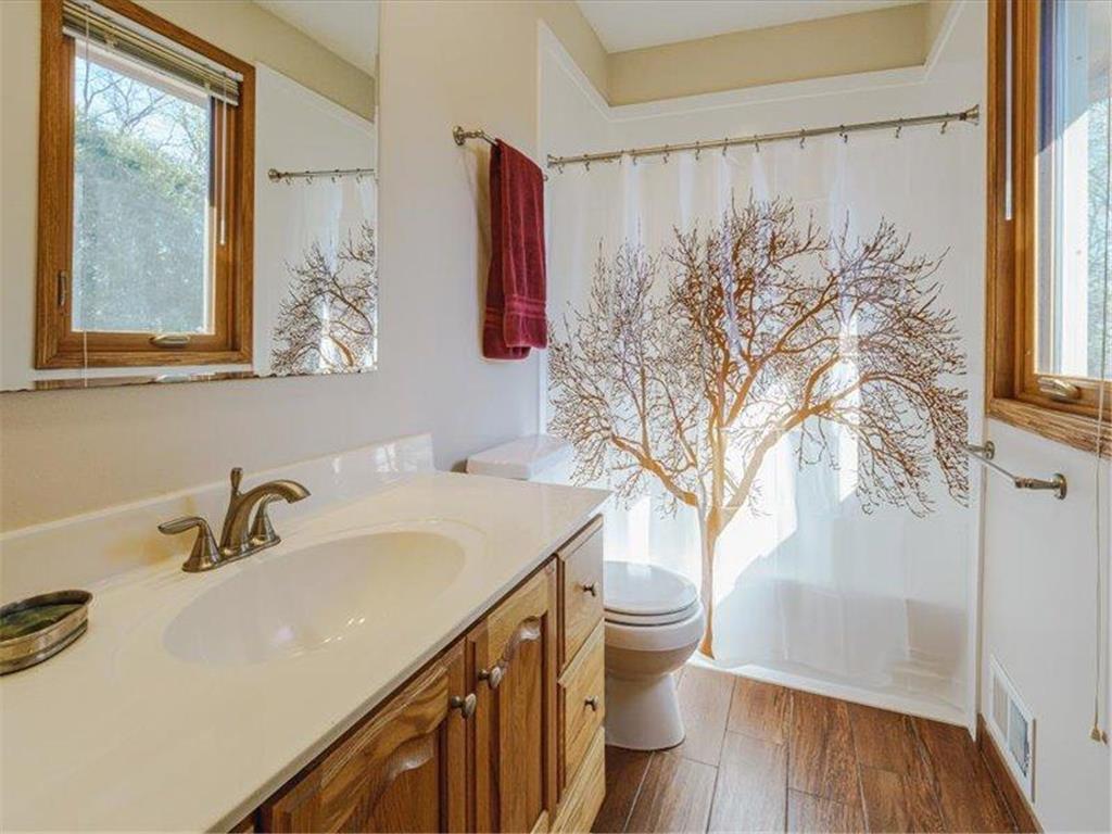 17743 Layton Path Lakeville MN 55044 7058589 image17