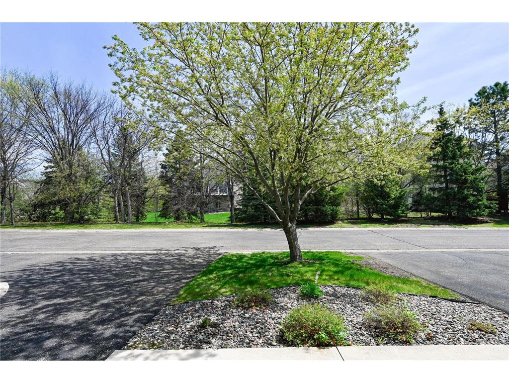 17744 66th Avenue N Maple Grove MN 55311 7063293 image24