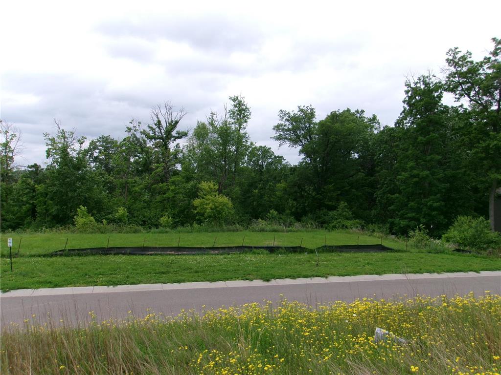 17751 Lincoln Street NW Elk River MN 55330 6648130 image1