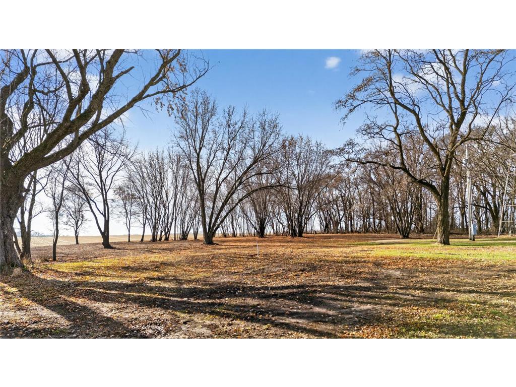 17758 County 102 Chatfield MN 55923 6821647 image31