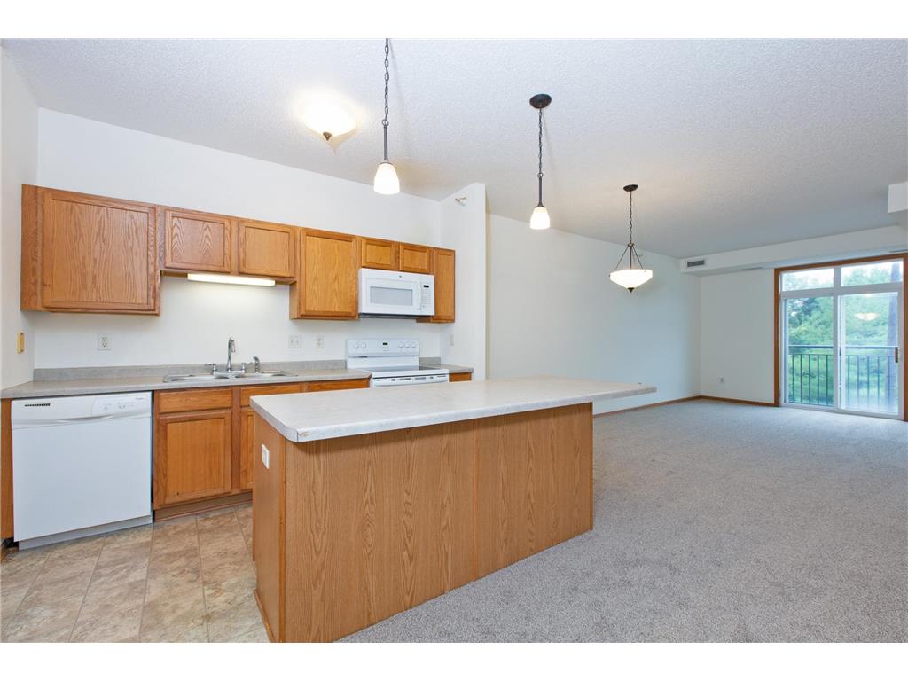 1776 Maryland Avenue E #101 Saint Paul MN 55106 6457274 image1
