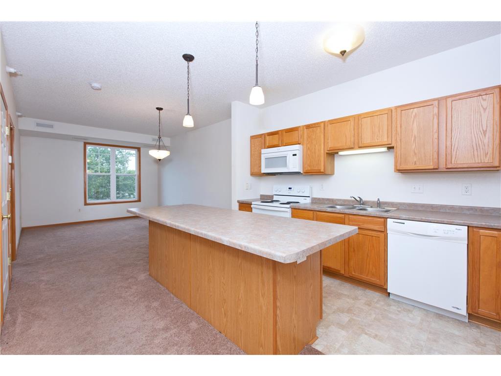 1776 Maryland Avenue E #305 Saint Paul MN 55106 6428173 image1