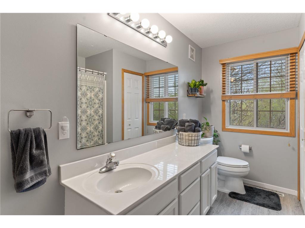 17763 96th Avenue N Maple Grove MN 55311 7059458 image22