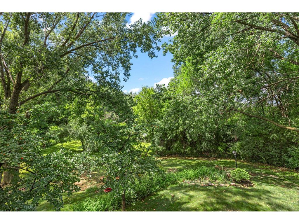 17781 Jasper Court Lakeville MN 55044 7081203 image28