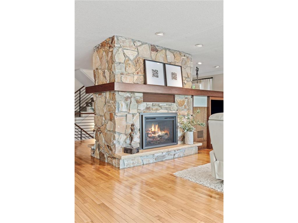 178 Peninsula Road Medicine Lake MN 55441 - Medicine Lake 7058094 image23