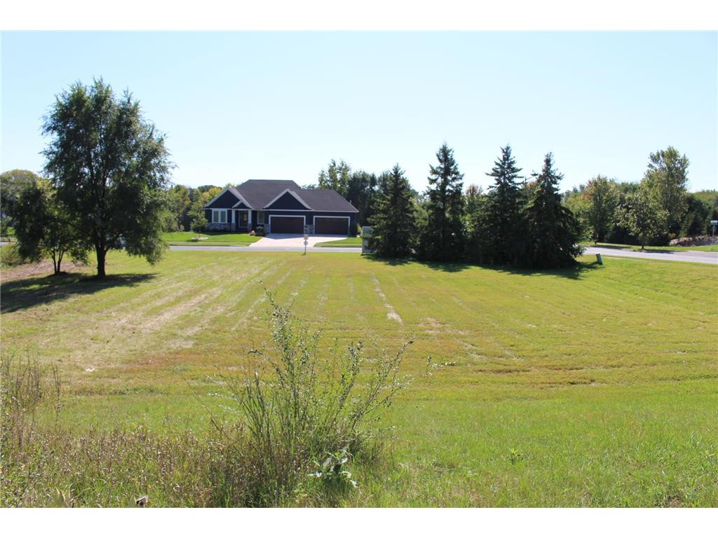 1780 River Shore Drive Hastings MN 55033 6674303 image7