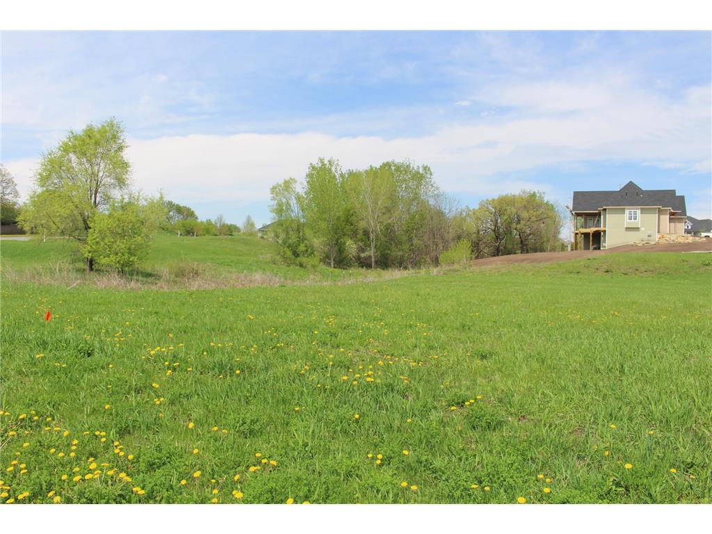 1780 River Shore Drive Hastings MN 55033 6674303 image8