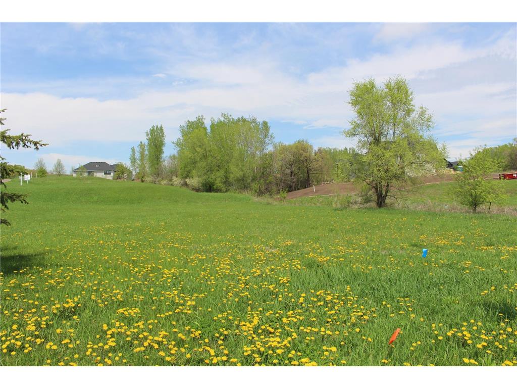 1780 River Shore Drive Hastings MN 55033 6674303 image9