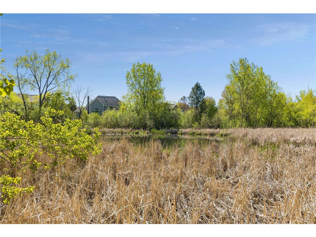 17815 32nd Place N Plymouth MN 55447 7044405 image54