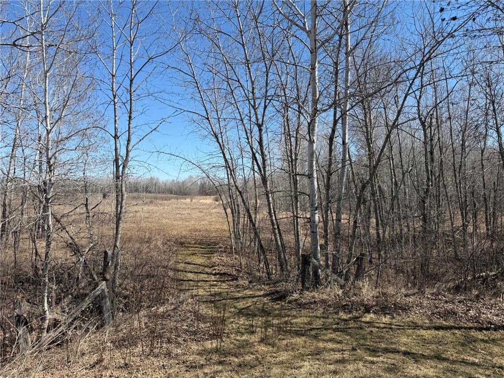 1784 County Road 1 SW Spooner Twp MN 56623 7068124 image46