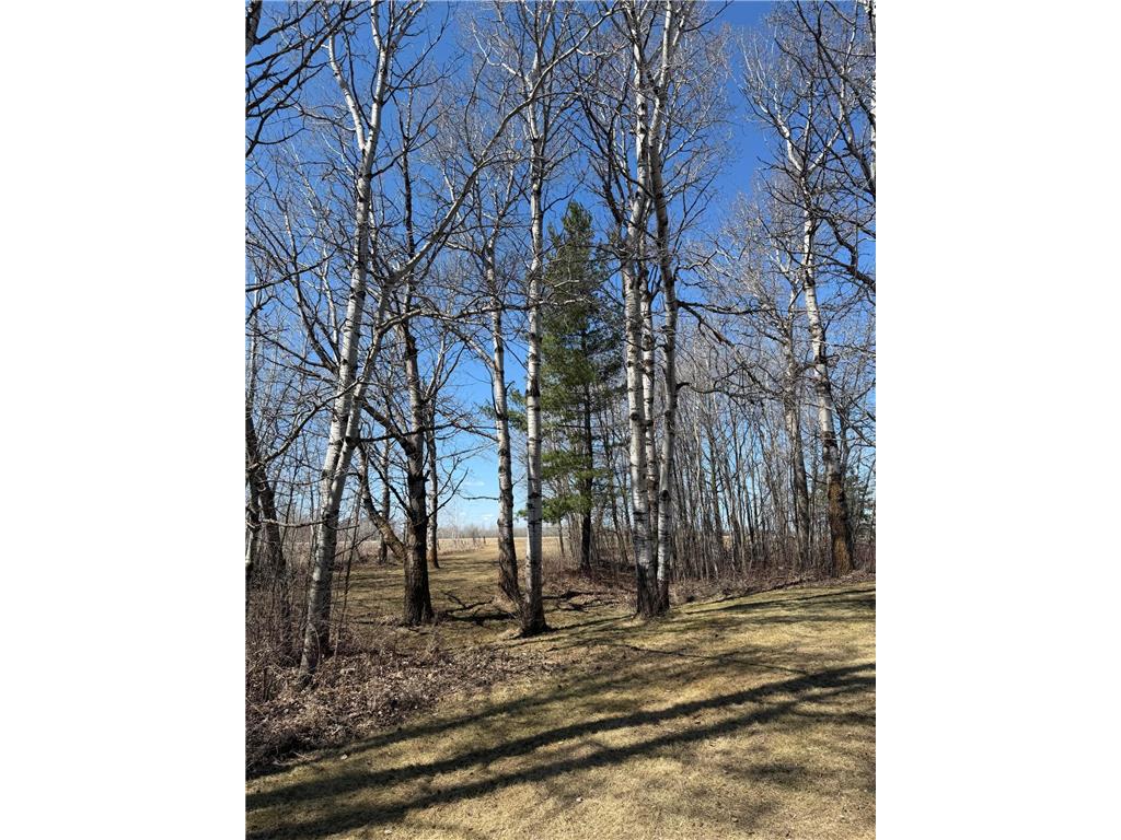 1784 County Road 1 SW Spooner Twp MN 56623 7068124 image47
