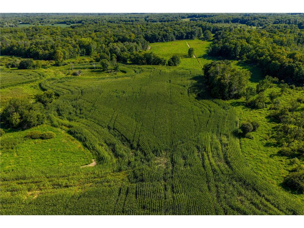 1788 397th Avenue NE Stanchfield Twp MN 55080 6779560 image22