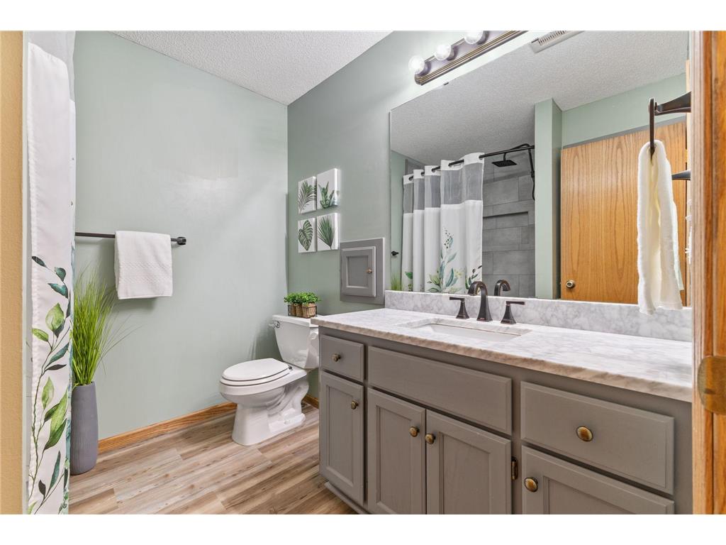 17884 227th Avenue NW Big Lake Twp MN 55309 7094012 image23