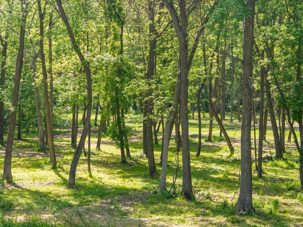 17887 Riverwood Drive Little Falls MN 56345 - Mississippi 7085329 image76