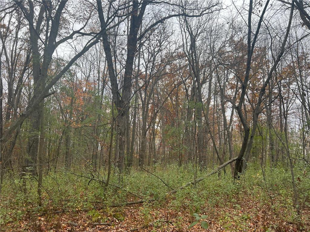 178xx 50th Avenue Ogilvie MN 56358 6808408 image1