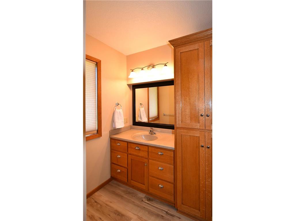 17910 Wedgewood Drive Roscoe Twp MN 55992 7099088 image22