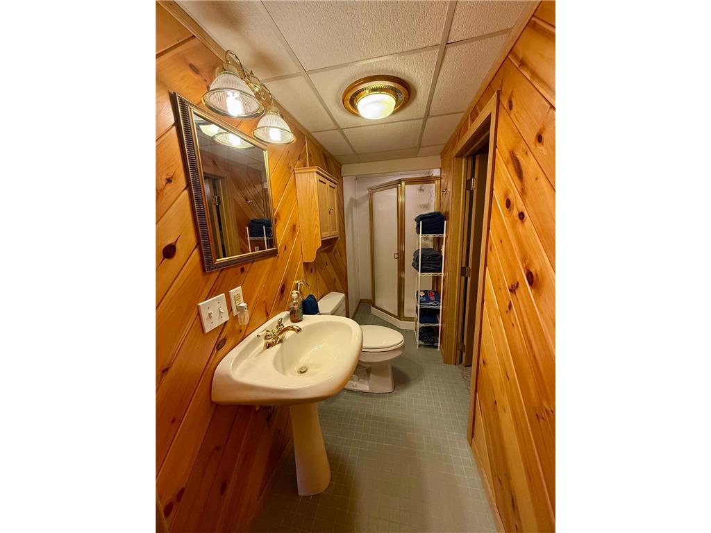17918 Raymond Avenue Richmond MN 56368 - North Brown's 7045779 image50