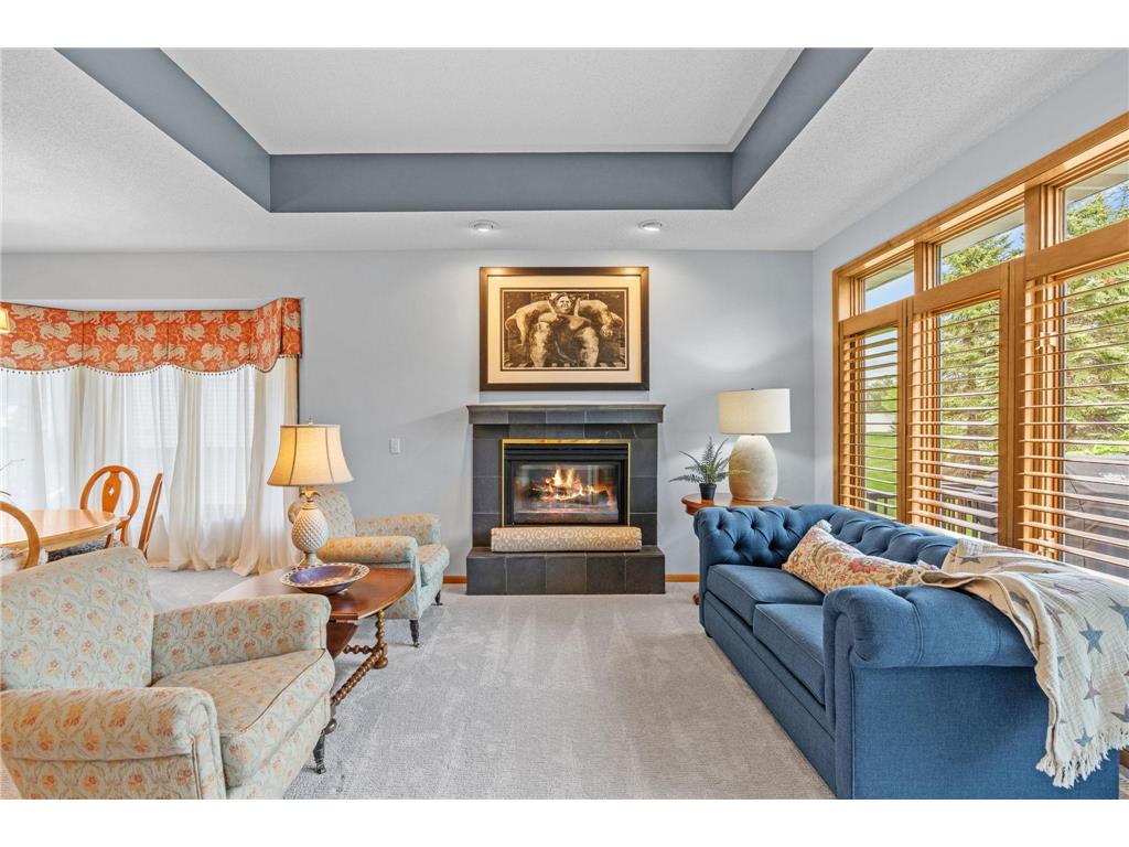 17925 39th Place N Plymouth MN 55446 7080233 image28