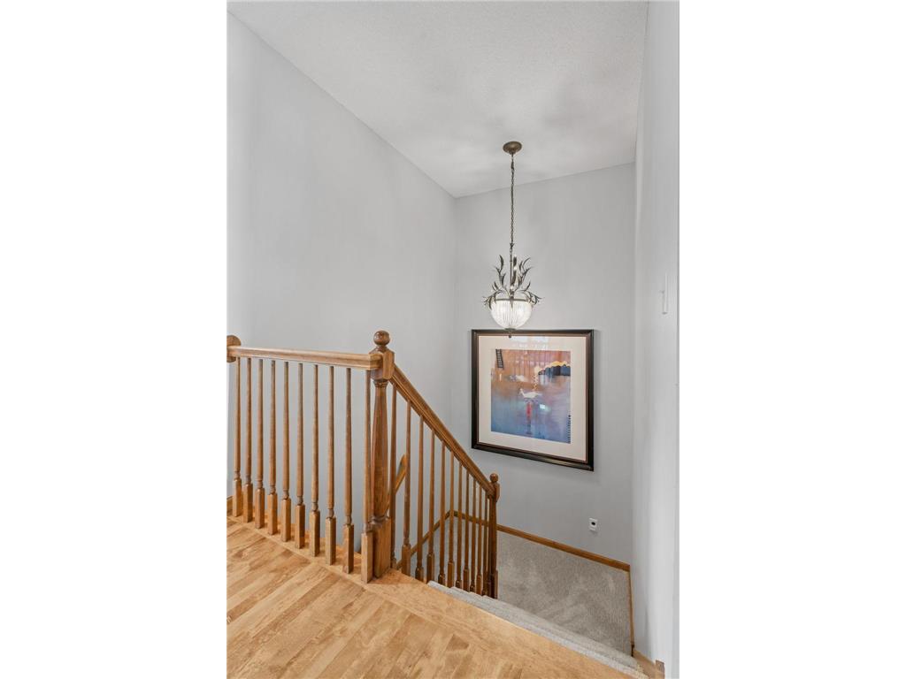 17925 39th Place N Plymouth MN 55446 7080233 image41