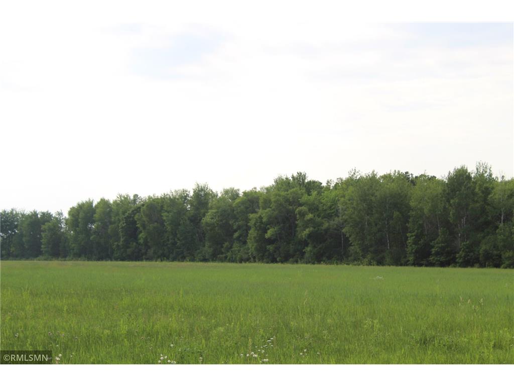 17xx Highway 47 Ogilvie MN 56358 6384680 image1