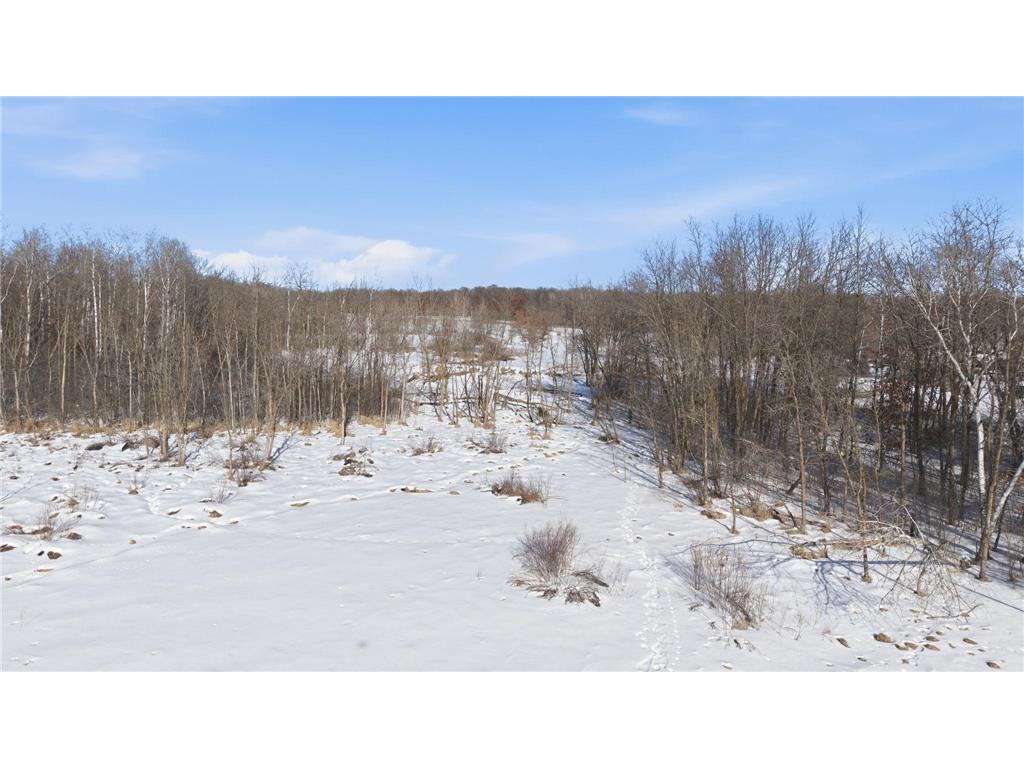 17931 205th Avenue Belle Prairie Twp MN 56345 7022885 image12
