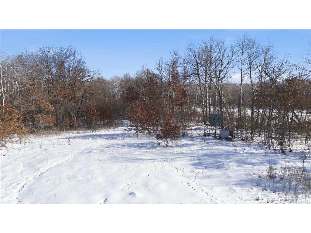 17931 205th Avenue Belle Prairie Twp MN 56345 7022885 image2