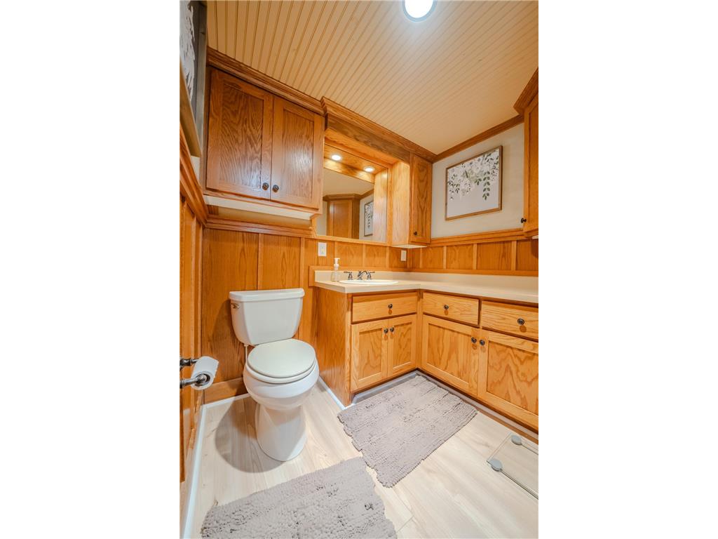 17938 Dogwood Loop Burnhamville Twp MN 56336 - Big Swan 7103315 image22