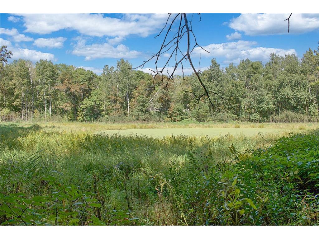 17963 27th Avenue Fair Haven Twp MN 55320 6786238 image57