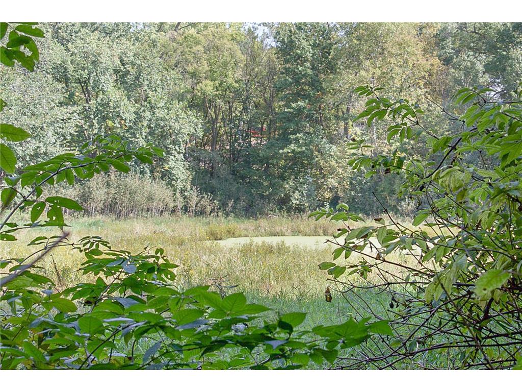 17963 27th Avenue Fair Haven Twp MN 55320 6786238 image58