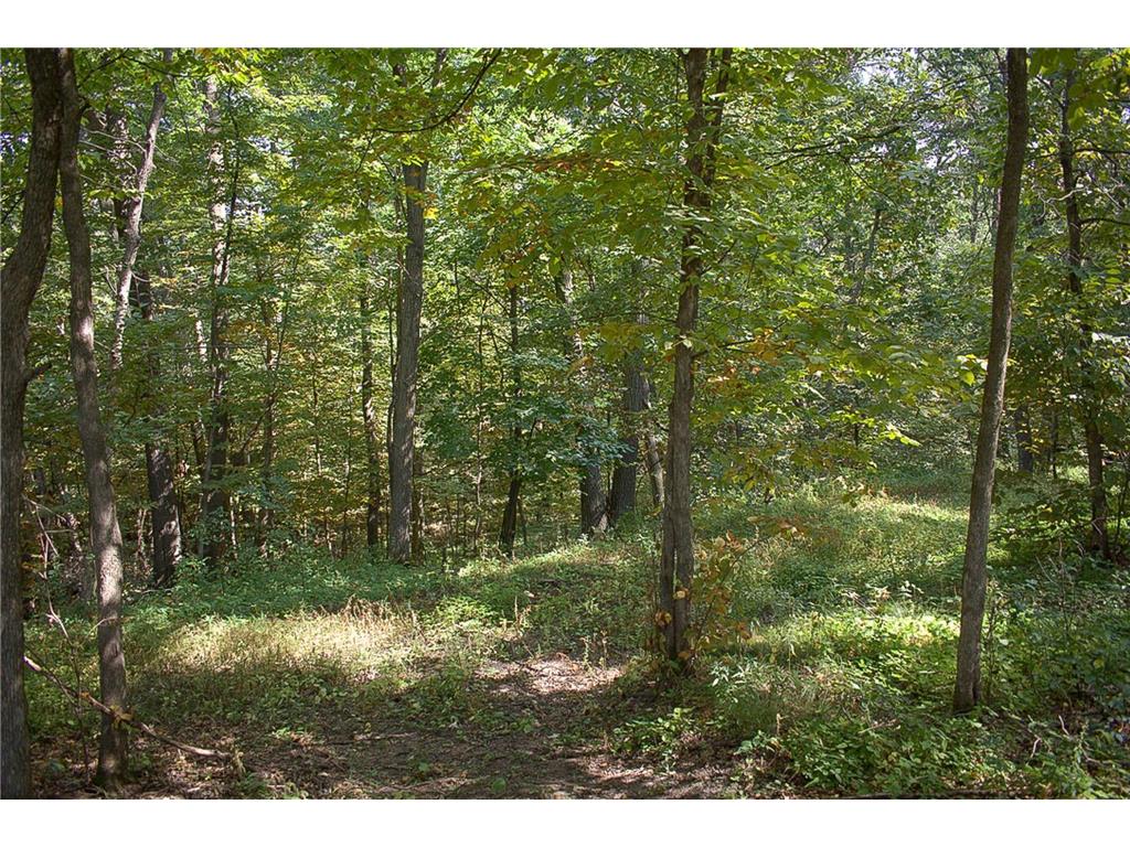 17963 27th Avenue Fair Haven Twp MN 55320 6786238 image59