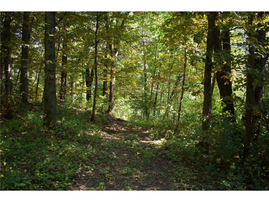 17963 27th Avenue Fair Haven Twp MN 55320 6786238 image62