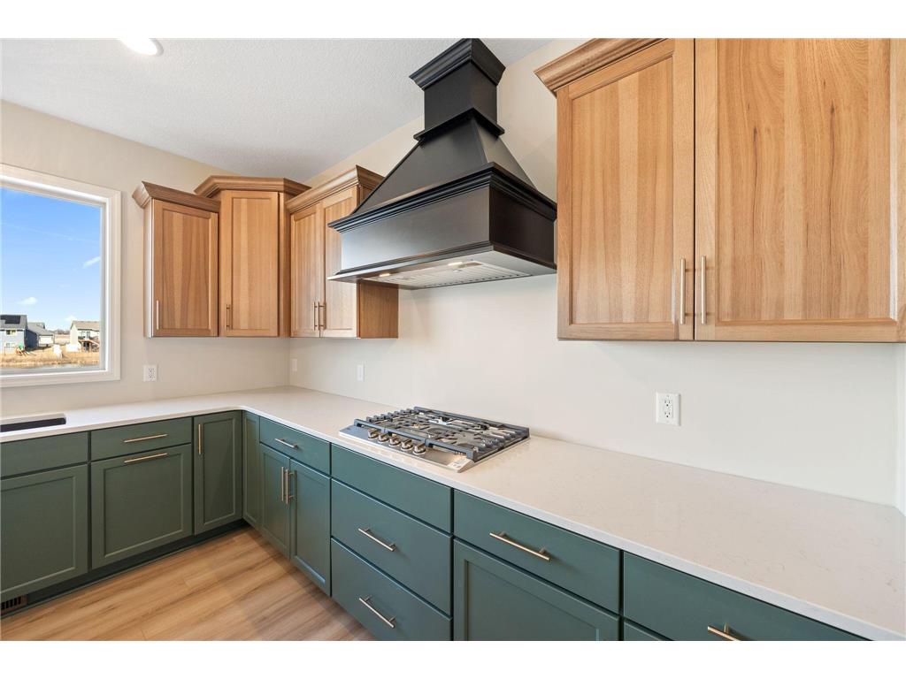 17965 Hidden Creek Trail Lakeville MN 55044 7015279 image14