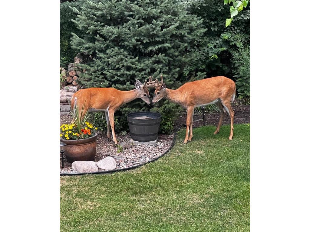 17990 Nixon Drive NW Elk River MN 55330 6816825 image54