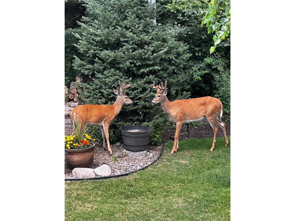 17990 Nixon Drive NW Elk River MN 55330 6816825 image55