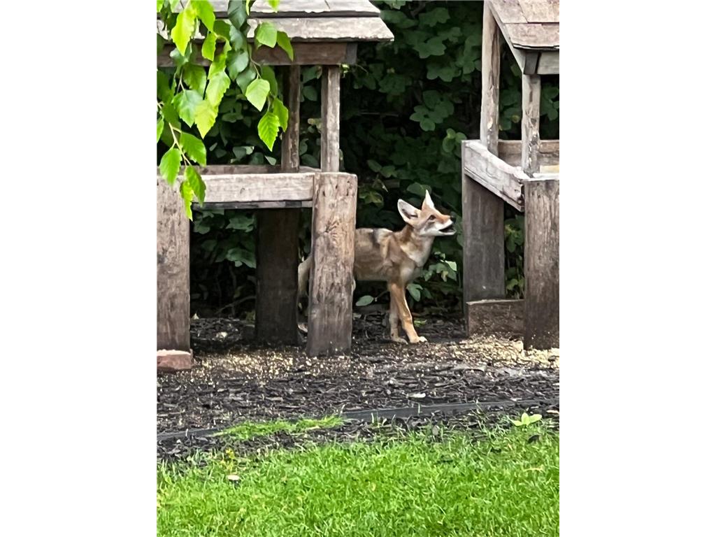 17990 Nixon Drive NW Elk River MN 55330 6816825 image56