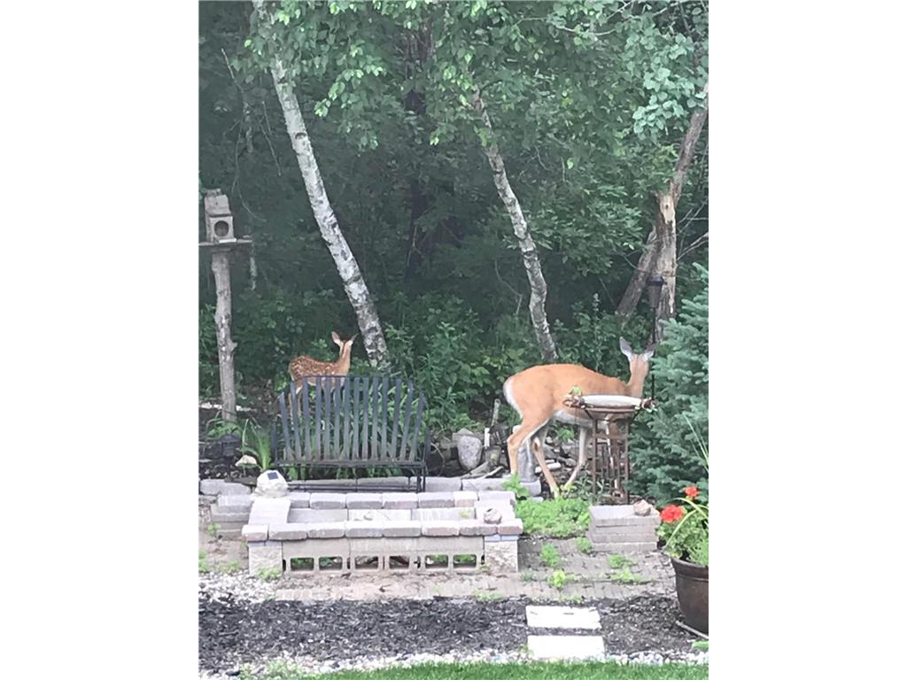 17990 Nixon Drive NW Elk River MN 55330 6816825 image57