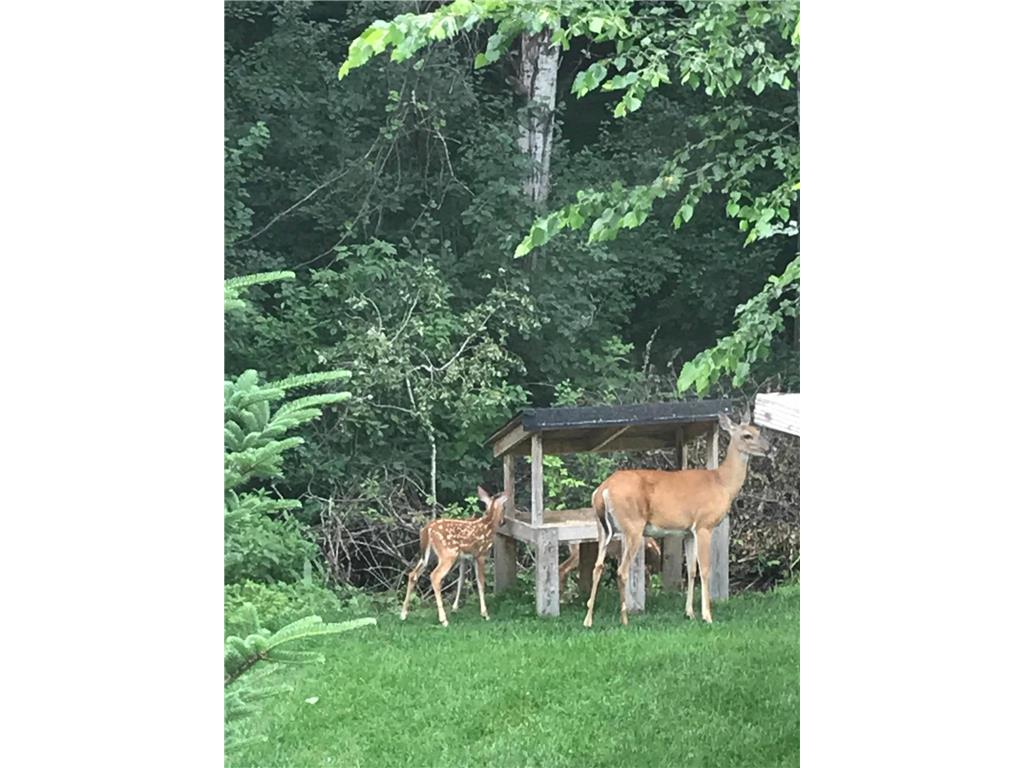 17990 Nixon Drive NW Elk River MN 55330 6816825 image58