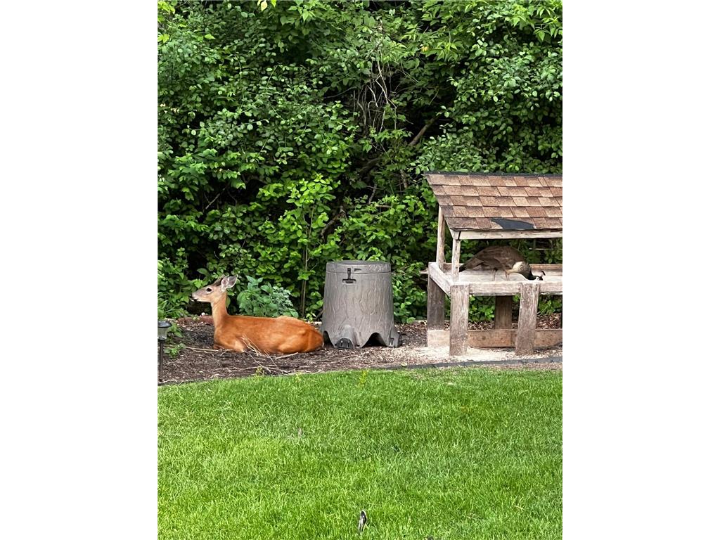 17990 Nixon Drive NW Elk River MN 55330 6816825 image59