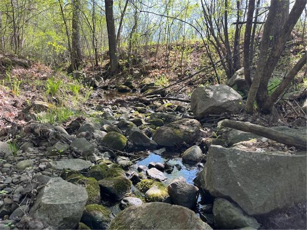 17xx 270th Avenue Luck WI 54853 - Butternut Creek 6527216 image1