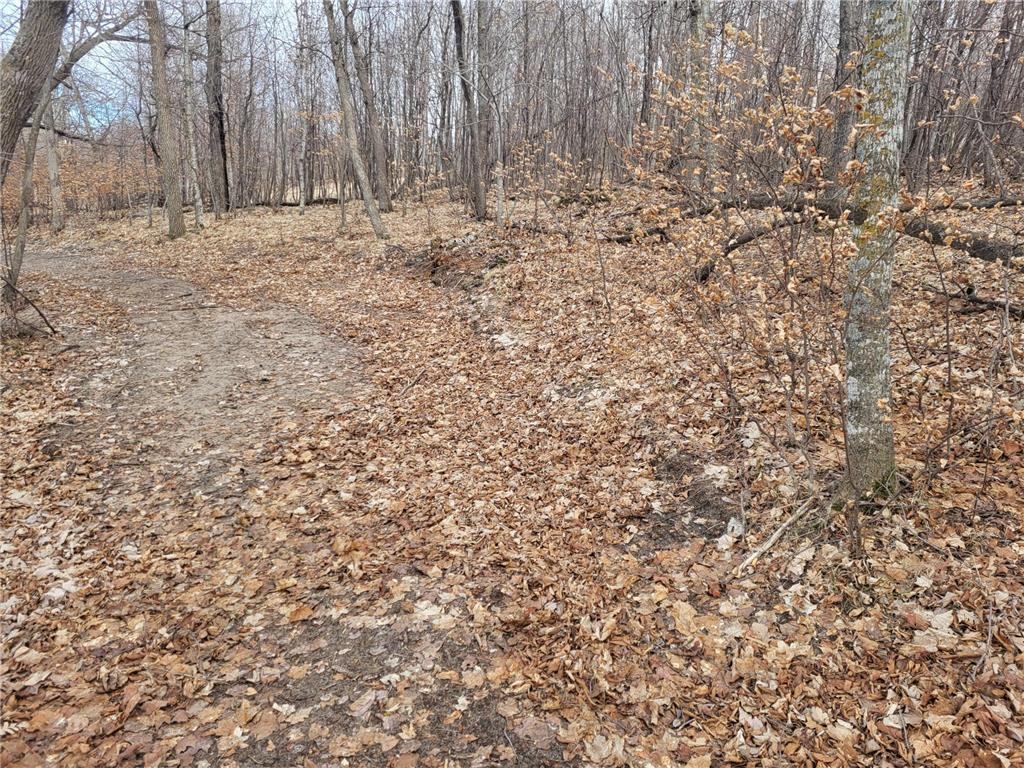 18.45 ac Long Lake Road, Ottertail, MN, 56571 | MLS: 6507607 | Edina Realty