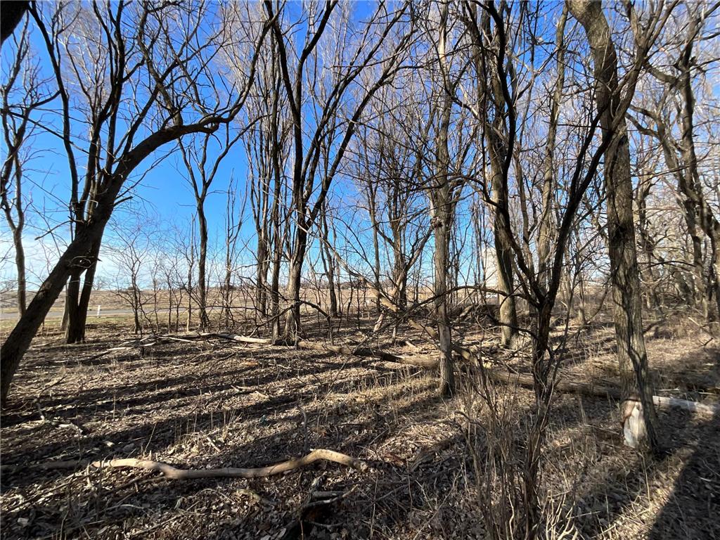 18 Cottonwood Lake Boulevard Windom MN 56101 - Cottonwood 6612967 image21