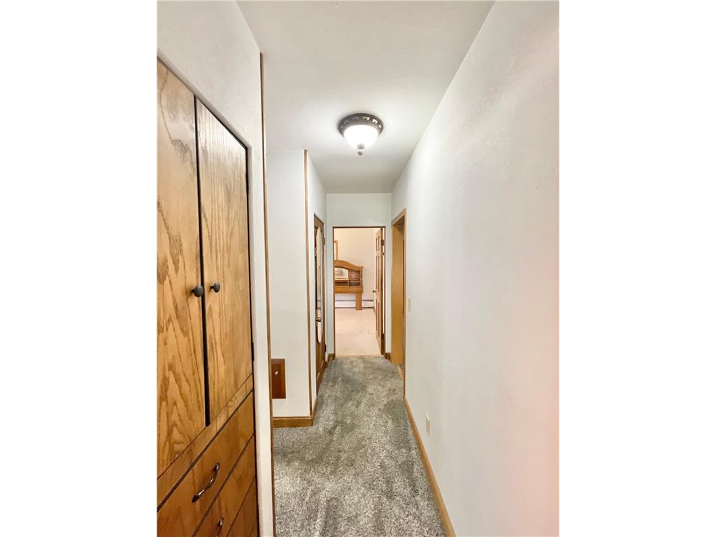 18 S Paffrath Avenue Springfield MN 56087 7103198 image25