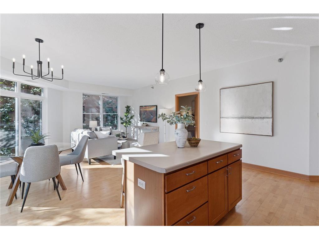 1800 Clinton Avenue #208 Minneapolis MN 55404 7052191 image5