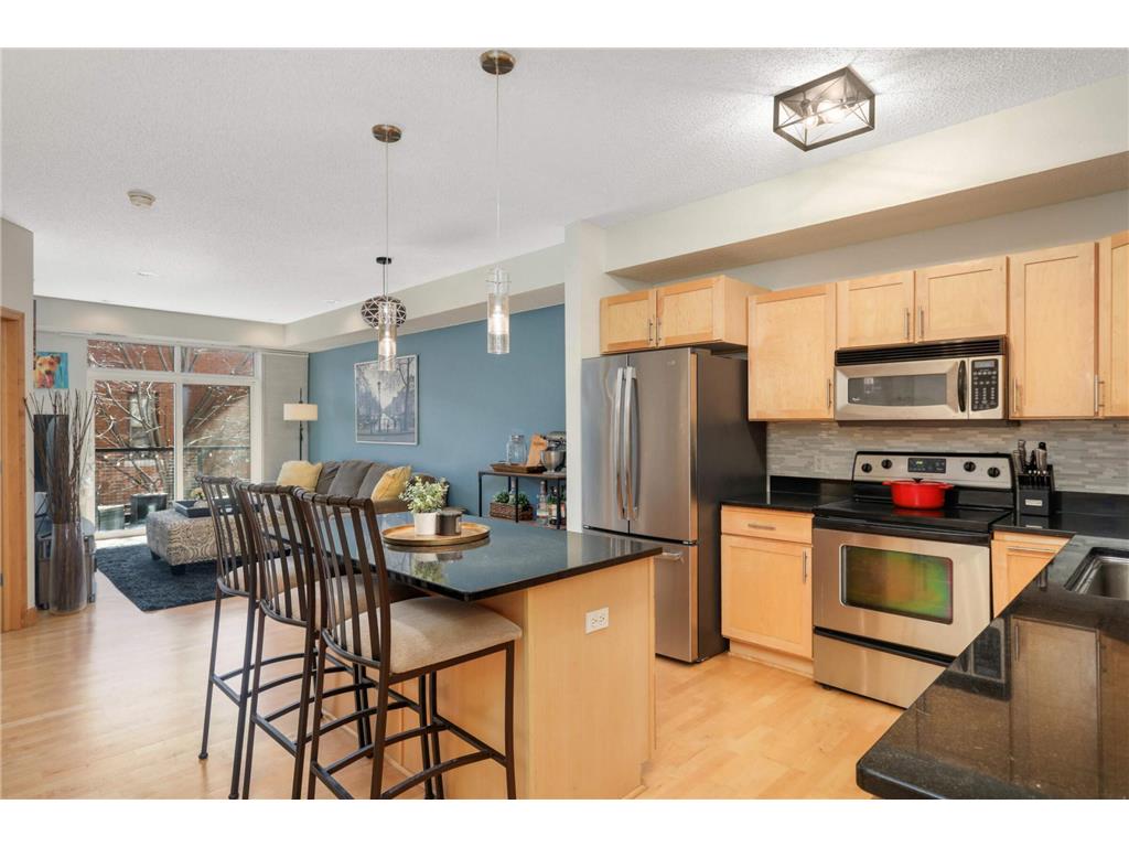 1800 Clinton Avenue #307 Minneapolis MN 55404 6688632 image1