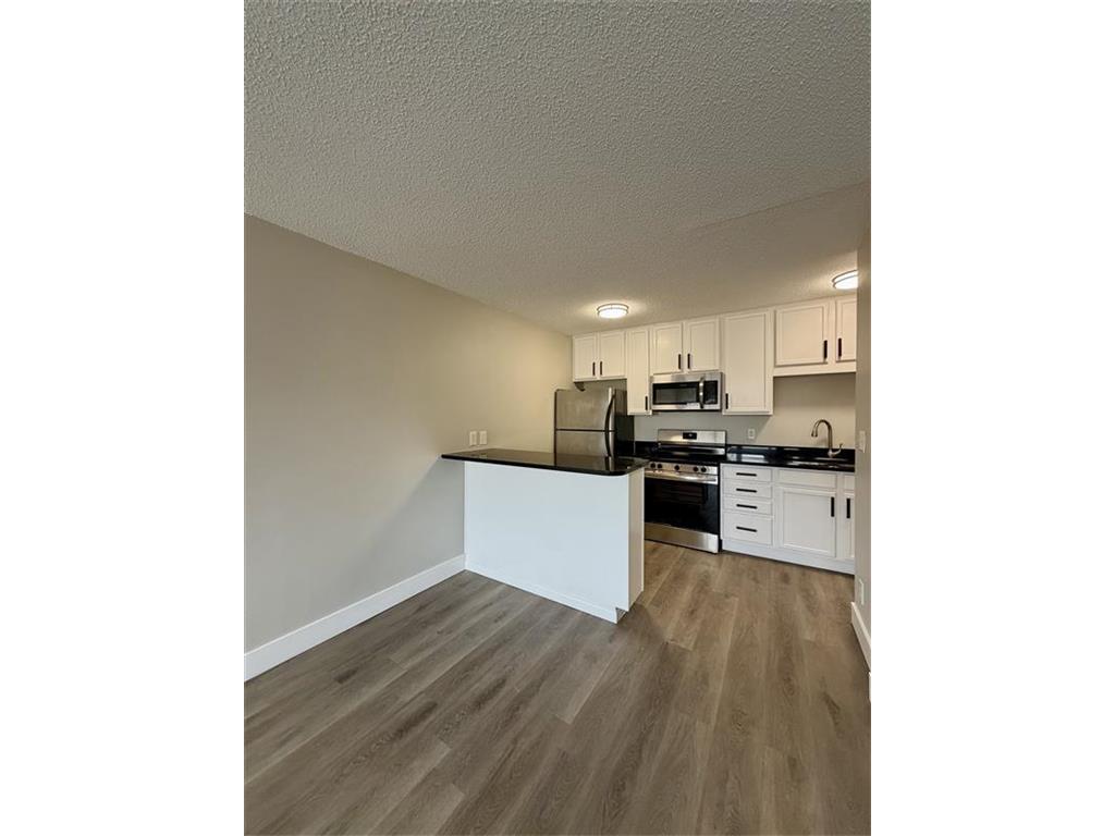 1800 Lasalle Avenue #302 Minneapolis MN 55403 7014943 image1