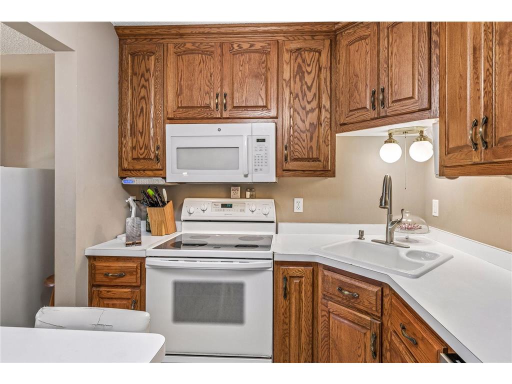 1800 Riverwood Drive #219 Burnsville MN 55337 7106355 image19